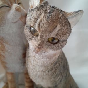 Tabby &amp; Ginger Tabby Cats - “Cats Kissing” - Image 2